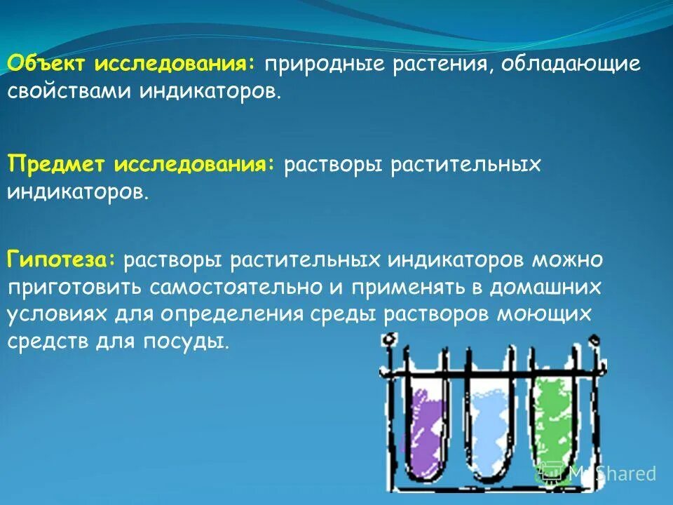 Гипотеза раствора. Индикаторные свойства растений. Естественные исследования это. Химическое применение растительных индикаторов.