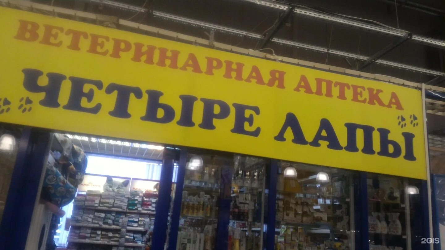 Четыре лапы новосибирск. Четыре лапы новосибирск. Ул цандера 7 к 2а , четыре лапы. 4 лапы лого. Зоомагазин 4 лапы.