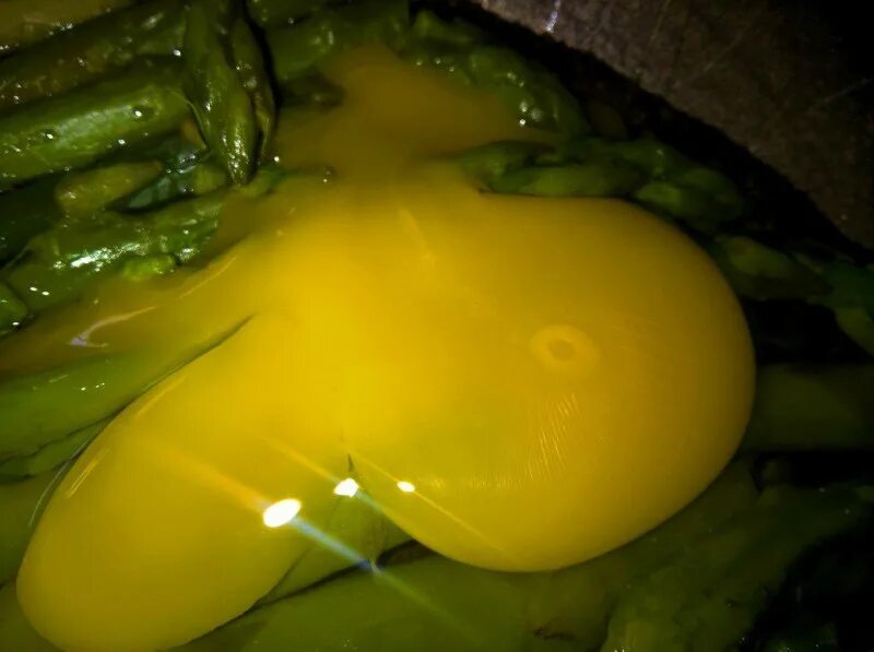 Яйцо оплодотворенное человеком. Оплодотворенное куриное яйцо.