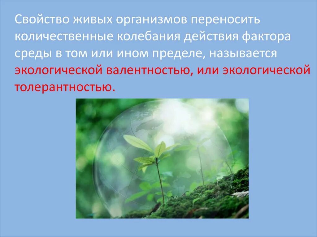 Экология живых организмов. Экологическая валентность организмов. Экологическая валентность примеры. Экологическая валентность это в экологии. Что называют окружающей средой