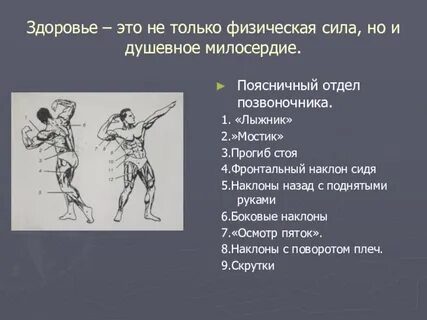 Сила ст