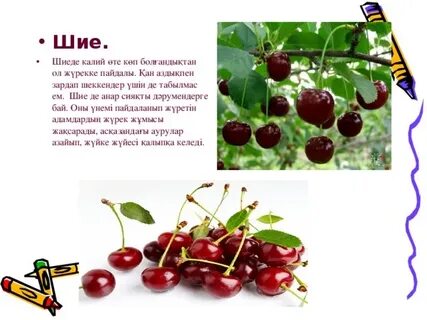 Ресейлік свингерлердің қатысуымен жасалған нағыз үй порносы