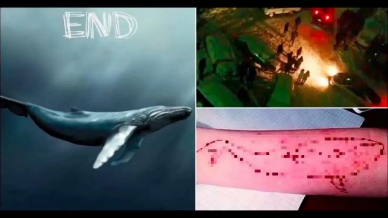 Картинка игры кит