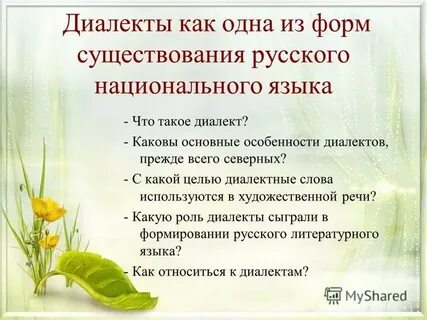 Диалектизмы особенности