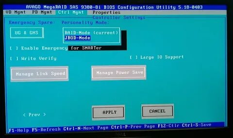 Megaraid bios utility