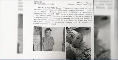 Типичное яркова