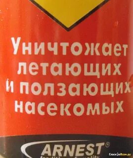 Опасен ли дихлофос