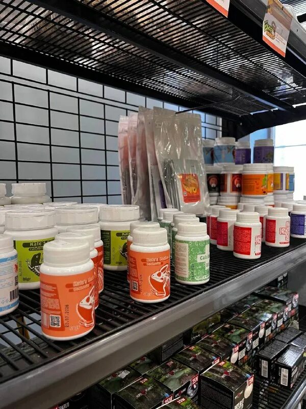 Зоомагазин с рептилиями в ека. Экзотик сити зоомагазин. Магазин экзотических животных. Экзомания зоомагазин. Магазин колор.