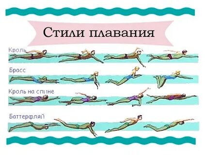 4 стиля плавания