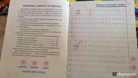 Письмо 1 класса сколько
