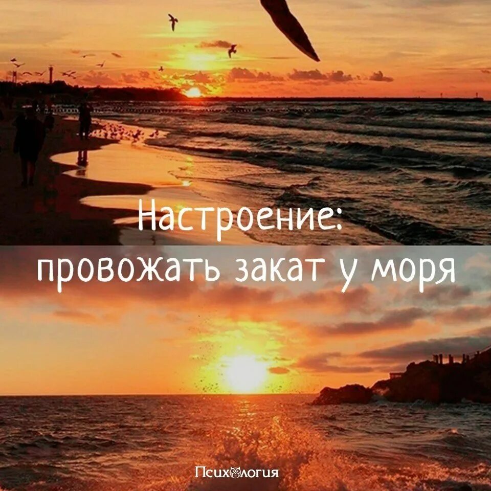 Ак ат