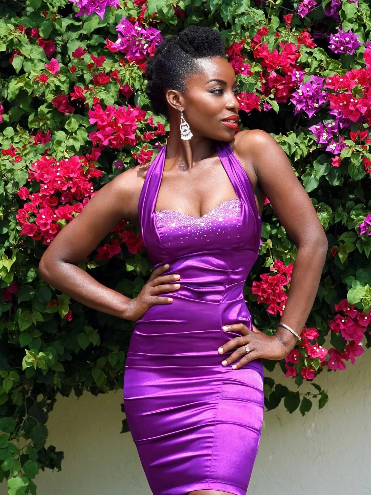 Purple models