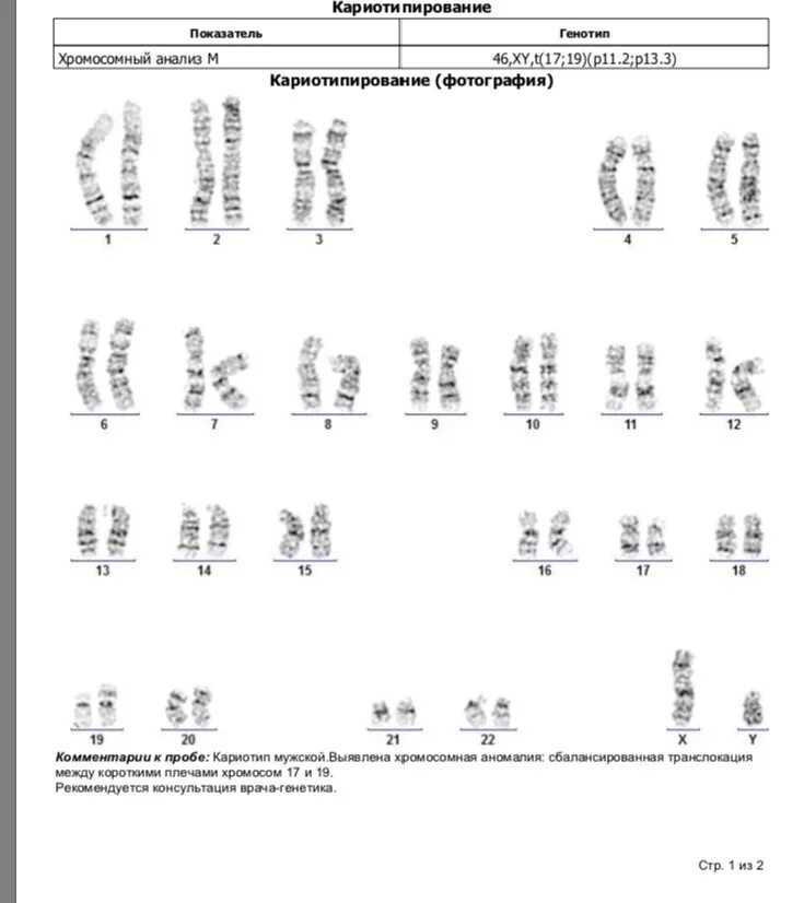 Кариотипирование супругов цена. Результат анализа кариотипа норма. Кариотип анализ мужчины Результаты. Кариотип анализ расшифровка результатов таблица. Кариотип пример результатов.