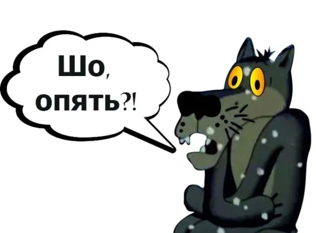 Спой вопрос. Шо опять. Шо опять волк. Жил был пес шо опять. Ну шо опять.