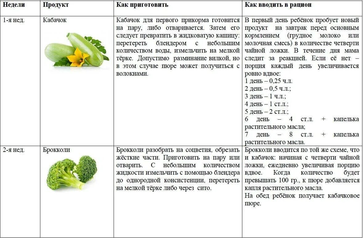 Можно кормящей кабачки