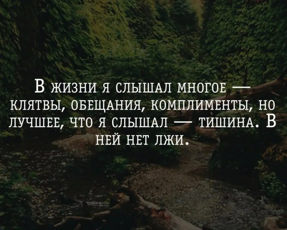 Можно ли давать обещания. Афоризмы про пустые обещания. цитаты про обещания. пустые слова цитаты. поговорки про обещания.