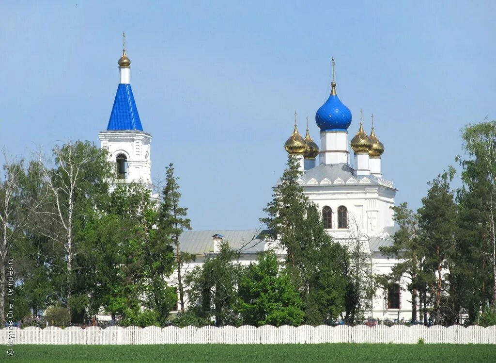 Андреевские выселки. Храм Андреевские Выселки Шатурский район. Андреевские Выселки Шатура Церковь. Преображенский храм Андреевские Выселки. Храм в Андреевских Выселках Шатурский район.