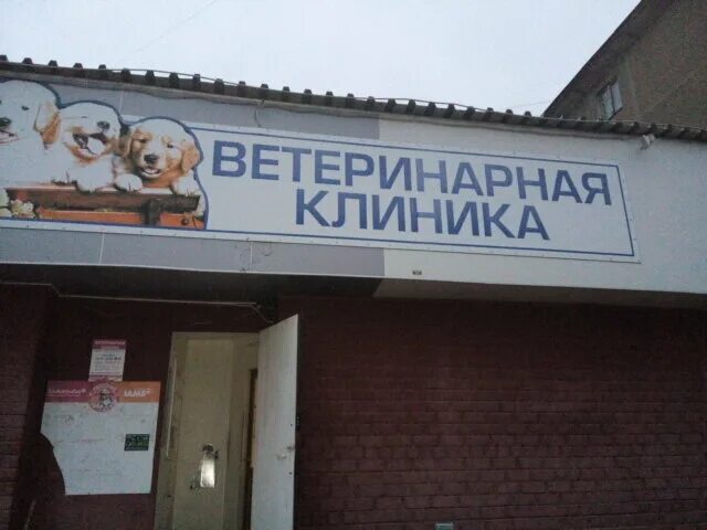 Фото: Ветеринарно-лечебный диагностический центр, ветеринарная клиника, Крымская