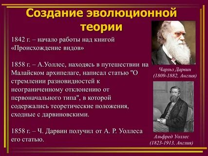 Первые эволюции концепции