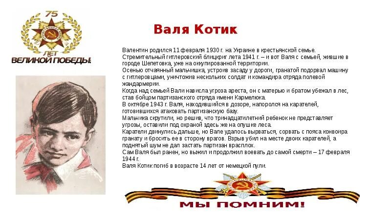 Сообщение о вале котике. Сообщение о вале котике