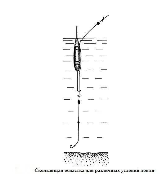 Ловля на поплавочную удочку на пруду. Оснастка поплавочной удочки на крупного карася. Оснастка поплавочной удочки на карася весной. Оснастка поплавочной удочки на карпа. Оснастка для ловли карася на поплавок.