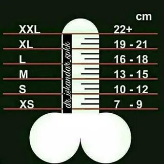 Расскажи о члене