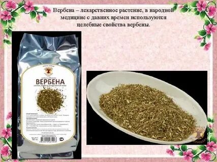 Вербена свойства