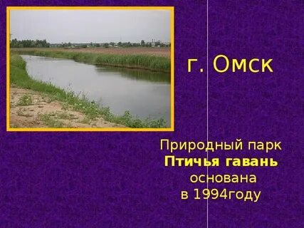 Гавань предложение