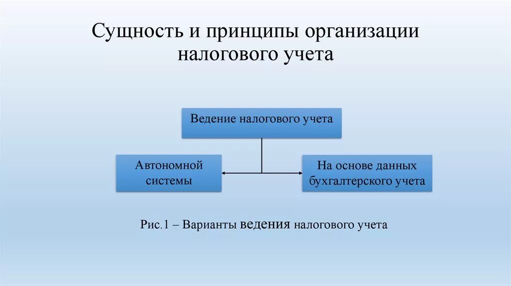 Принципы организации налогового учета. Способы ведения налогового учета. Способ ведения бухгалтерского и налогового учета. Принципы бухгалтерского и налогового учета.