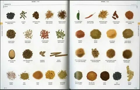 Seasoned перевод. Seasoned перевод. Seasoned перевод. Seasoned перевод. Seasoned перевод.