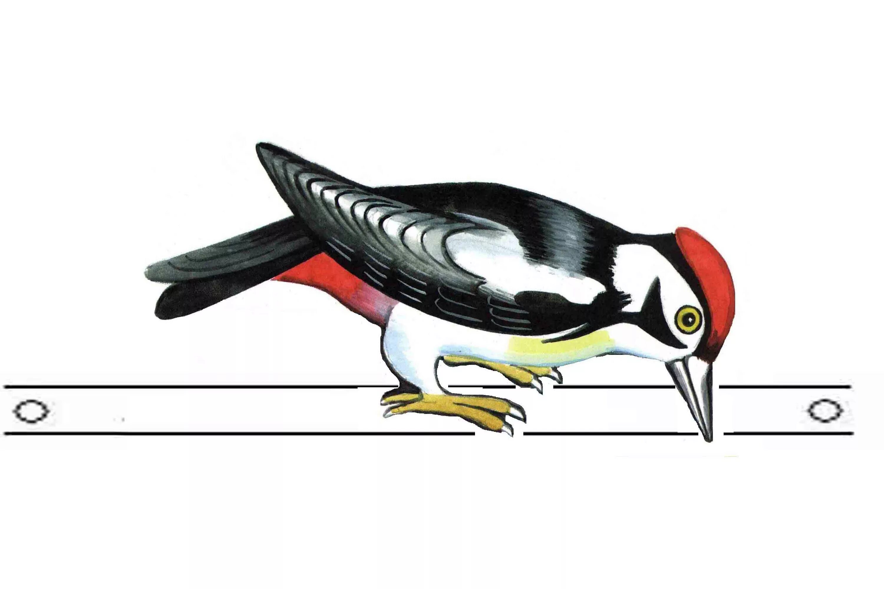 воробей рисунок. маска дятла для детей на голову. маска сороки. снегирь рисунок для детей. маска птички синички.