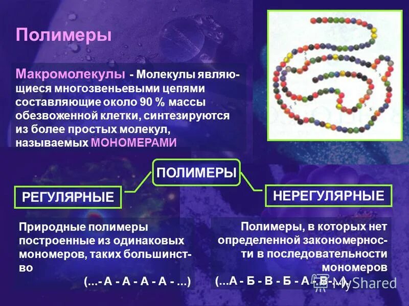 Биополимер строения функции. Органические вещества полимеры и мономеры. Органические вещества молекулы полимеры. Регулярные и нерегулярные полимеры. Полимерные макромолекулы.