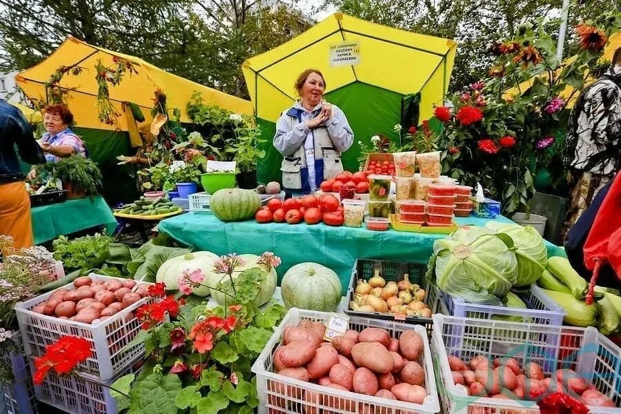 Сельхоз ярмарка. Сельхоз ярмарка республика алтай. Сельхозярмарка уфа. Осенняя ярмарка. Сельскохозяйственная ярмарка.