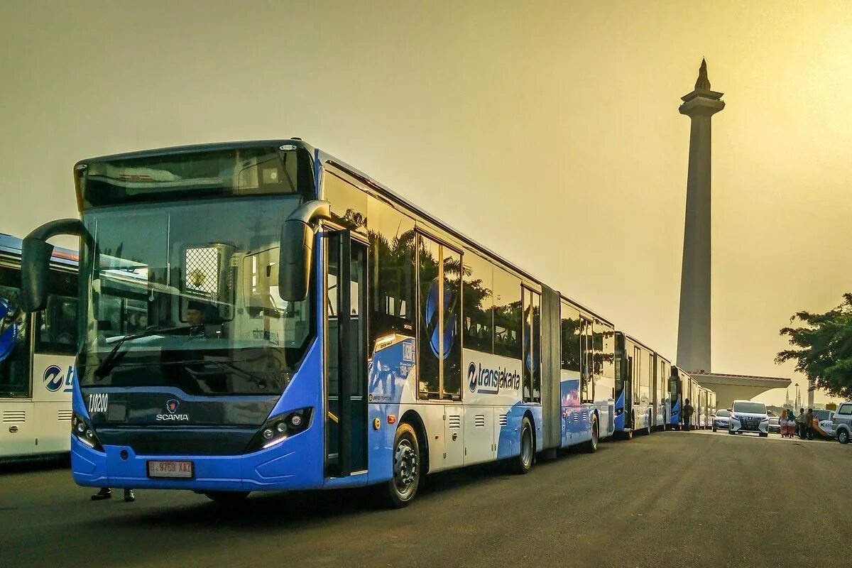 Автобусы какие нибудь