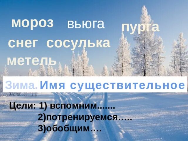 Зимний проект 3 класс русский Родители и ученики, их совместная деятельность в рамках ФГОС НОО. начальные кл
