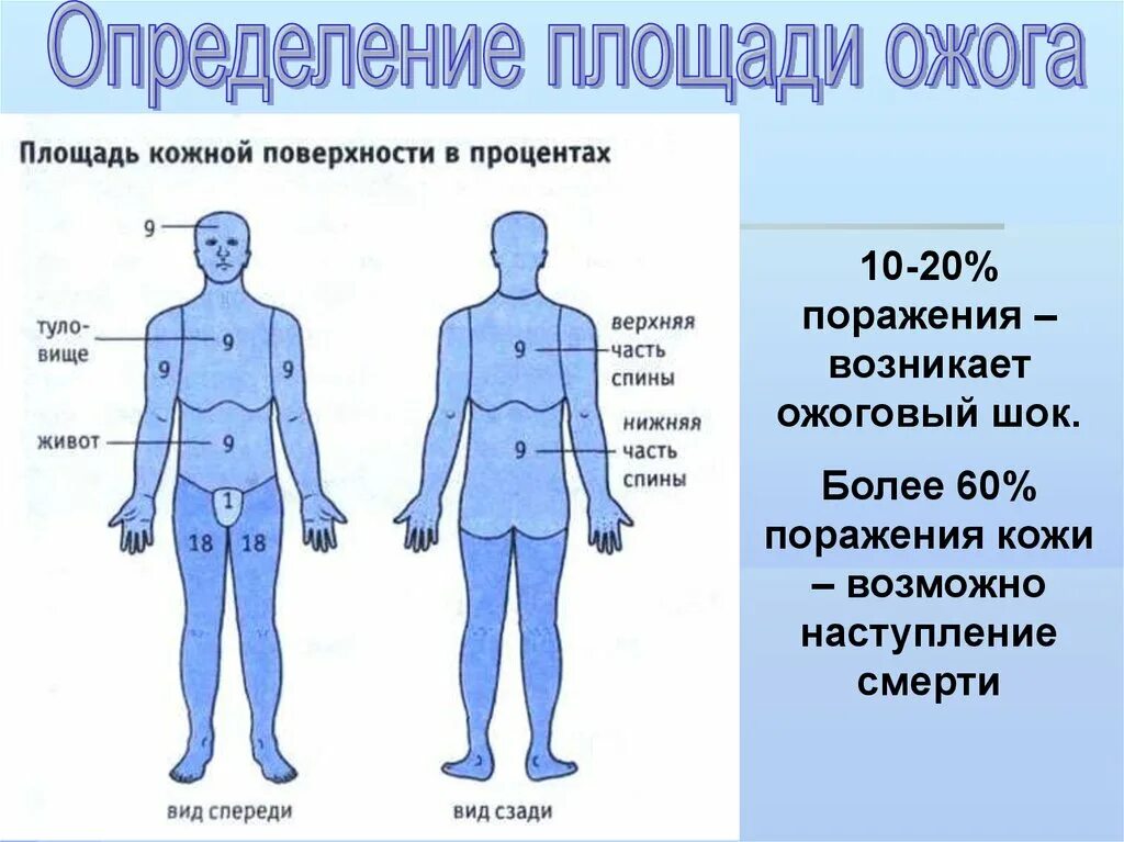 Можно ли по состоянию кожных покровов человека