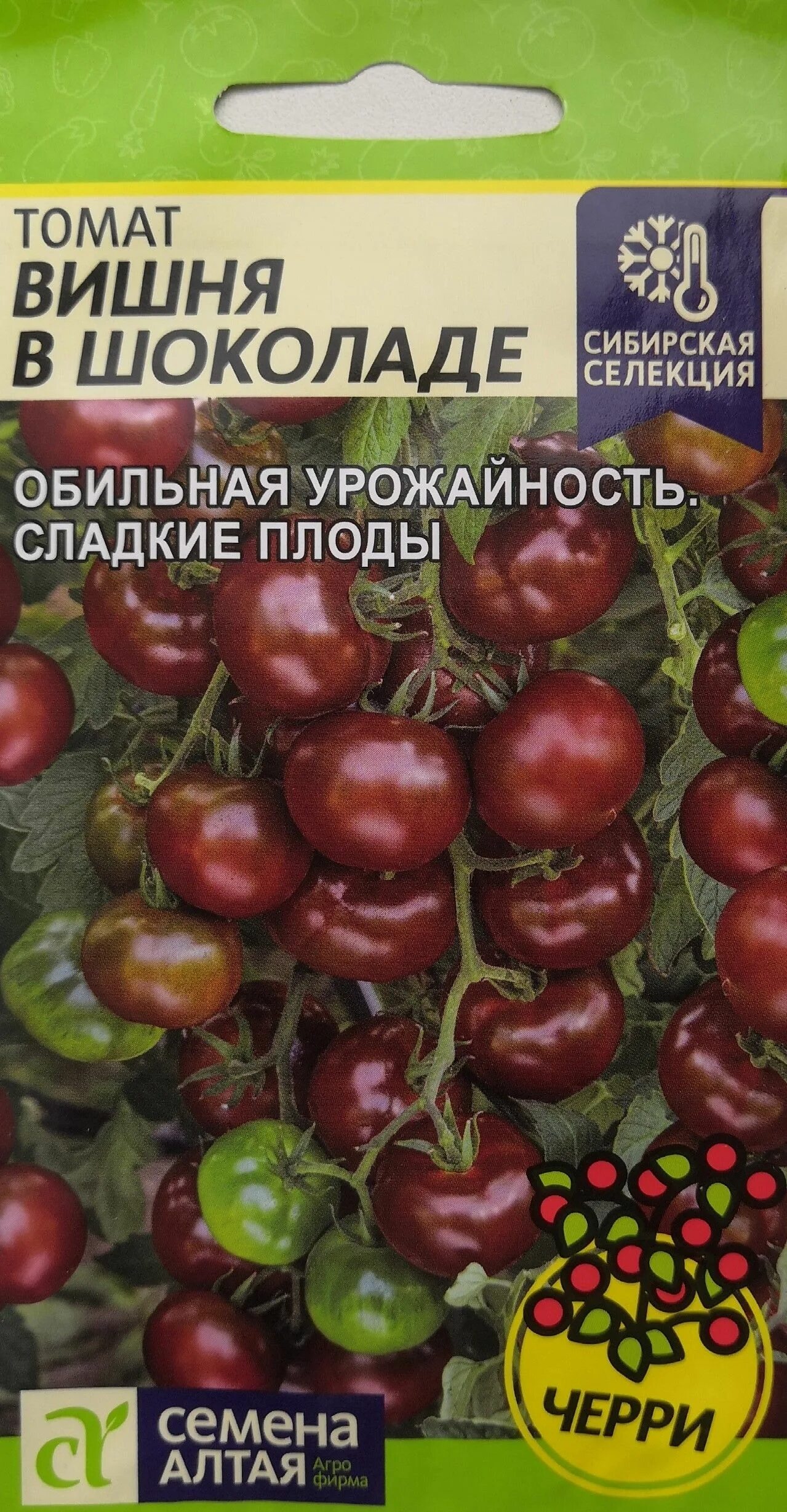 Помидоры вишня в шоколаде. Томат вишня в шоколаде семена алтая. вишня в шоколаде семена алтая. томат вишня в шоколаде семена. томат шоколадный семена алтая.