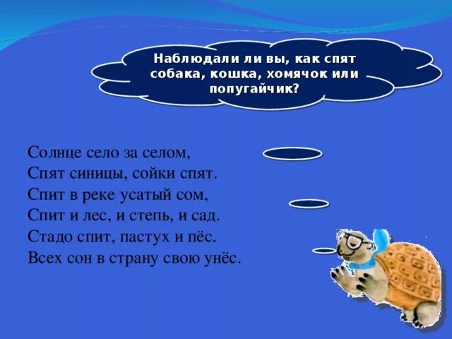 Солнце село за селом спят синицы сойки спят. Солнце село мы спим. Стих солнце село за селом спят синицы сойки спят задания про животных.