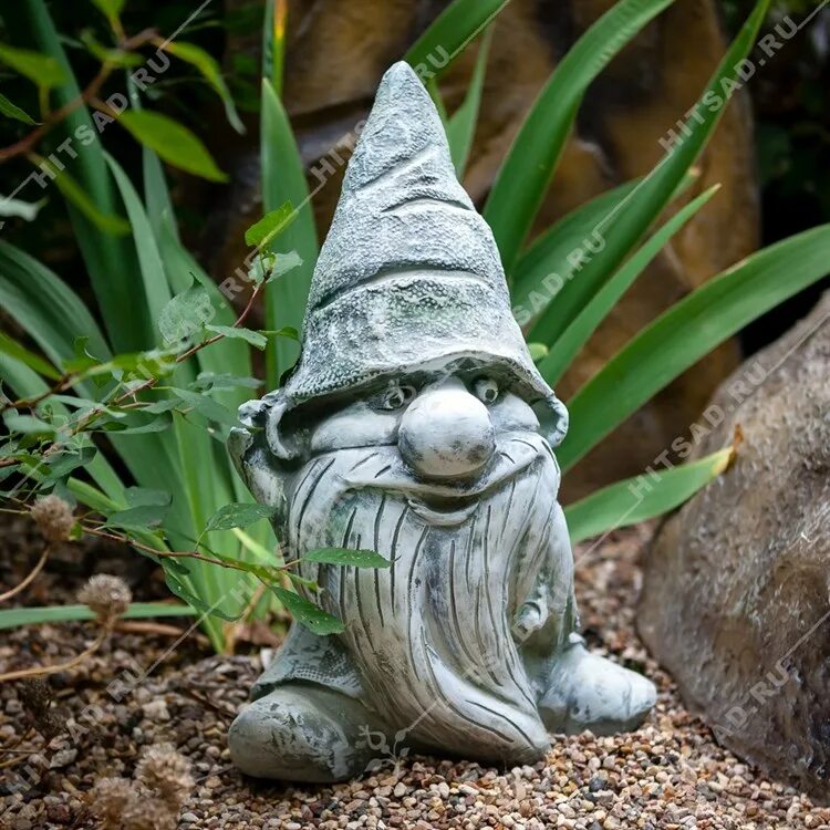 Dwarf fl