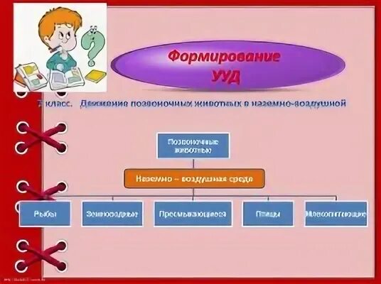 Урок в классе по биологии фгос. УУД на уроках химии. Универсальные учебные действия. Буклет для родителей 1 класса формирование УУД. М.И Скоморохова УУД.