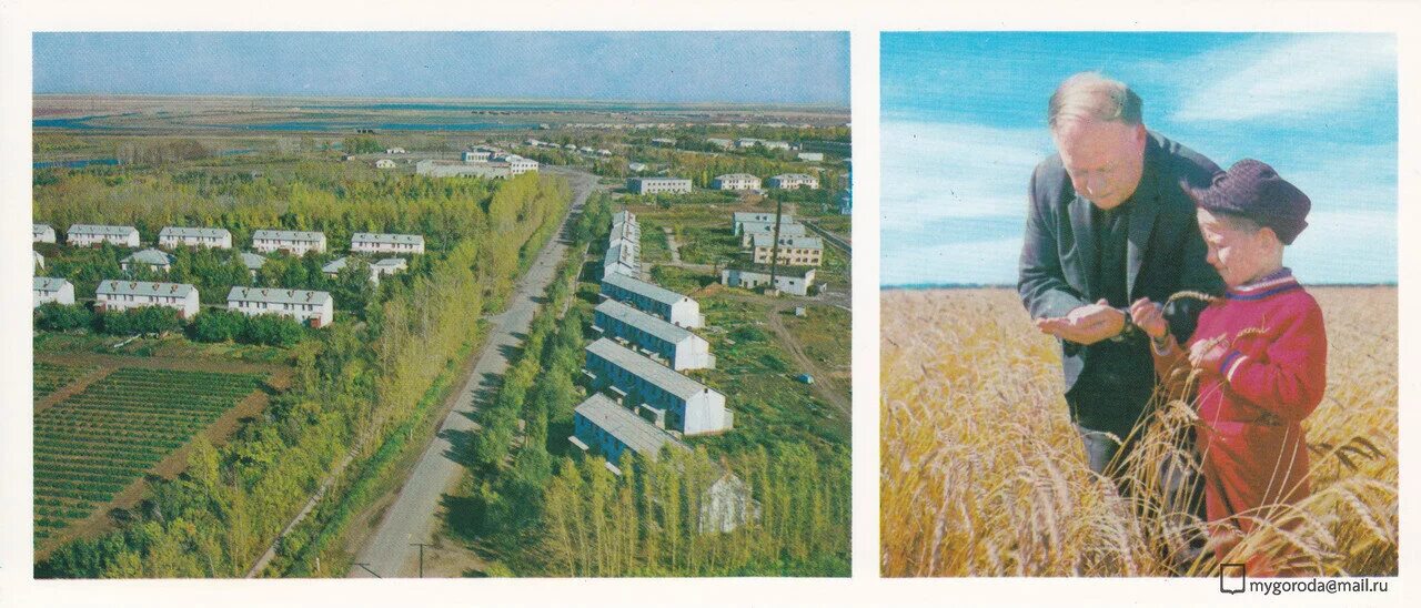 Деревня в могилевской области. Деревня максаково название улиц. Деревня ученых. Красивые места в чистопольском районе деревни. Деревня ученых.