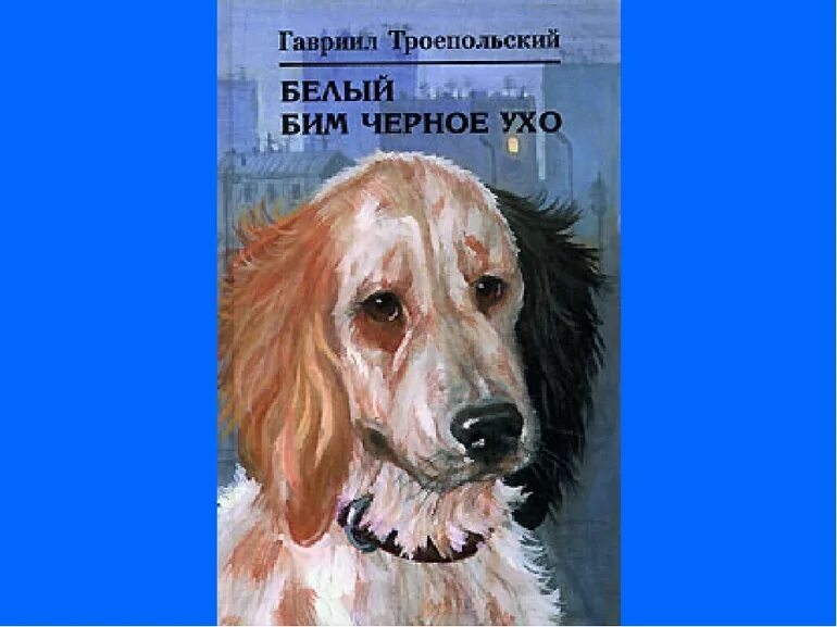 Читать книгу белый бим черное. Белый бим чёрное ухо краткое содержание. белый бим черное ухо книга. троепольский белый бим черное ухо краткое содержание. троепольский белый бим черное ухо содержание.