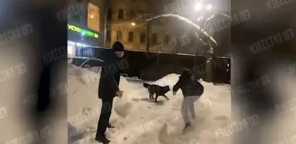 Нападение на центр в москве. Подростки избили собаку. Избиение собаки в Краснотурьинске.