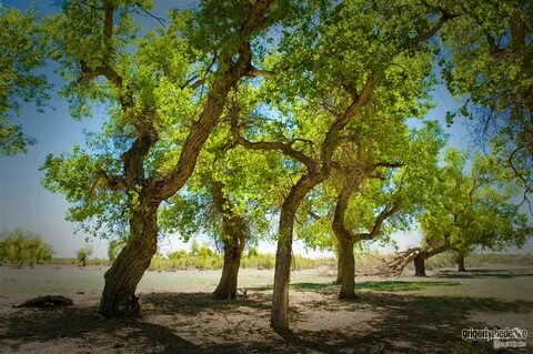 Бірінші рет орыс секс порно фильм онлайн