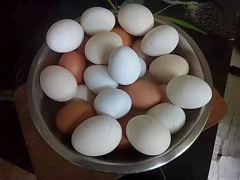 Яйцо везешь. Яйцо домашнее. домашние куриные яйца. куриные яйца свойские. продаются домашние яйца.