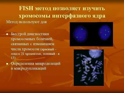 Метод изучающий хромосомы