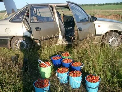 Погода на неделю в рождественке