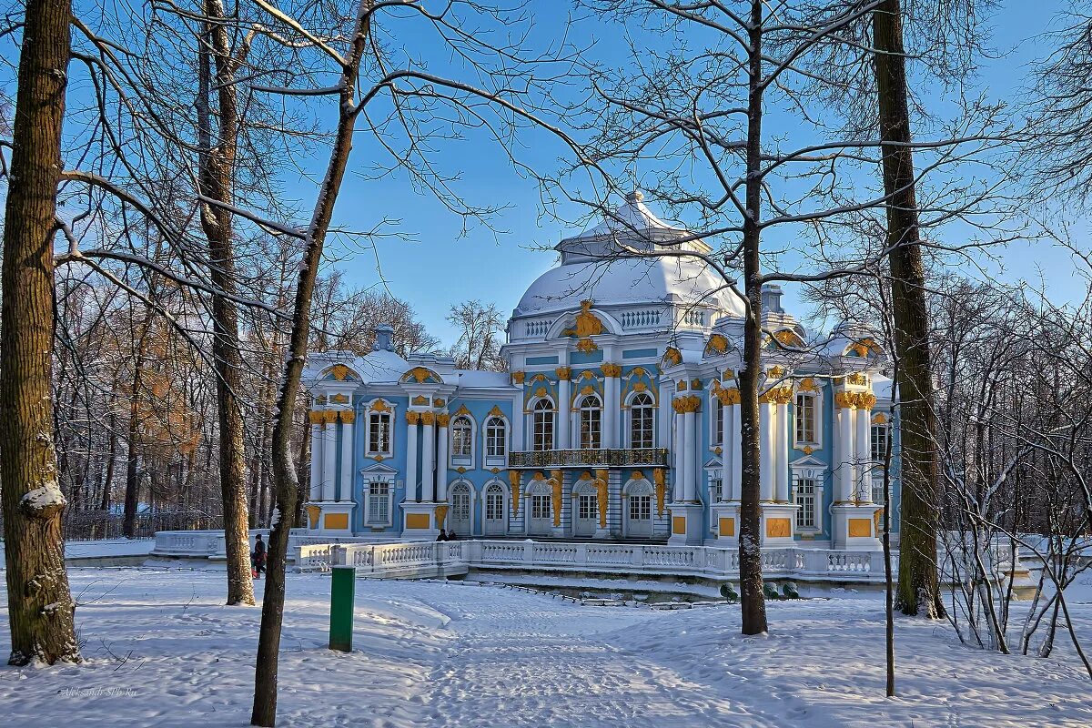 Погода царское. Екатерининский парк Царское село зимой. Екатерининский парк Екатеринбург. Екатерининский парк Санкт-Петербург зимой. Екатерининский парк СПБ зимой.