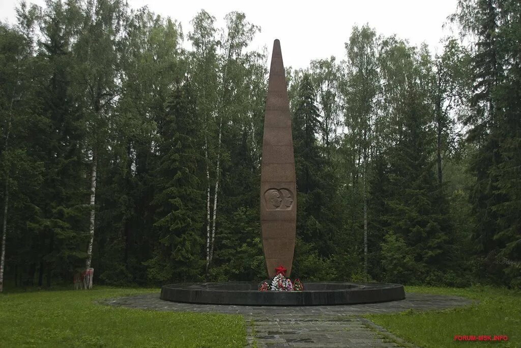 Гагарин место гибели. Версии гибели гагарина. Место гибели гагарина 1968. Похороны юрия гагарина. Версии гибели гагарина.