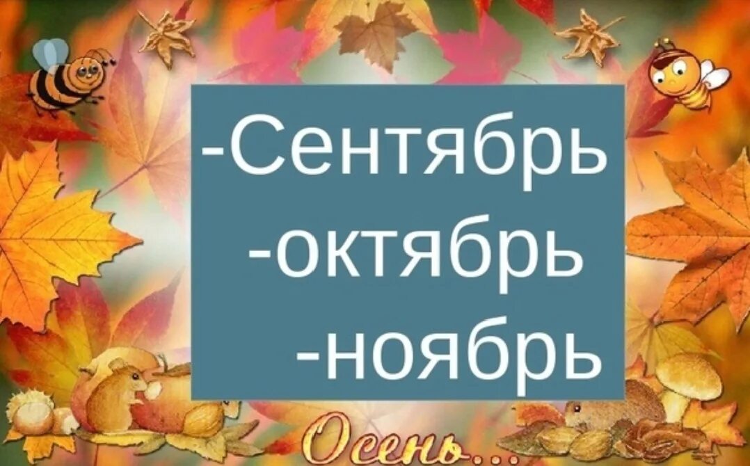 Сентябрь октябрь ноябрь это осенние месяцы. Сентябрь октябрь ноябрь это осенние месяцы